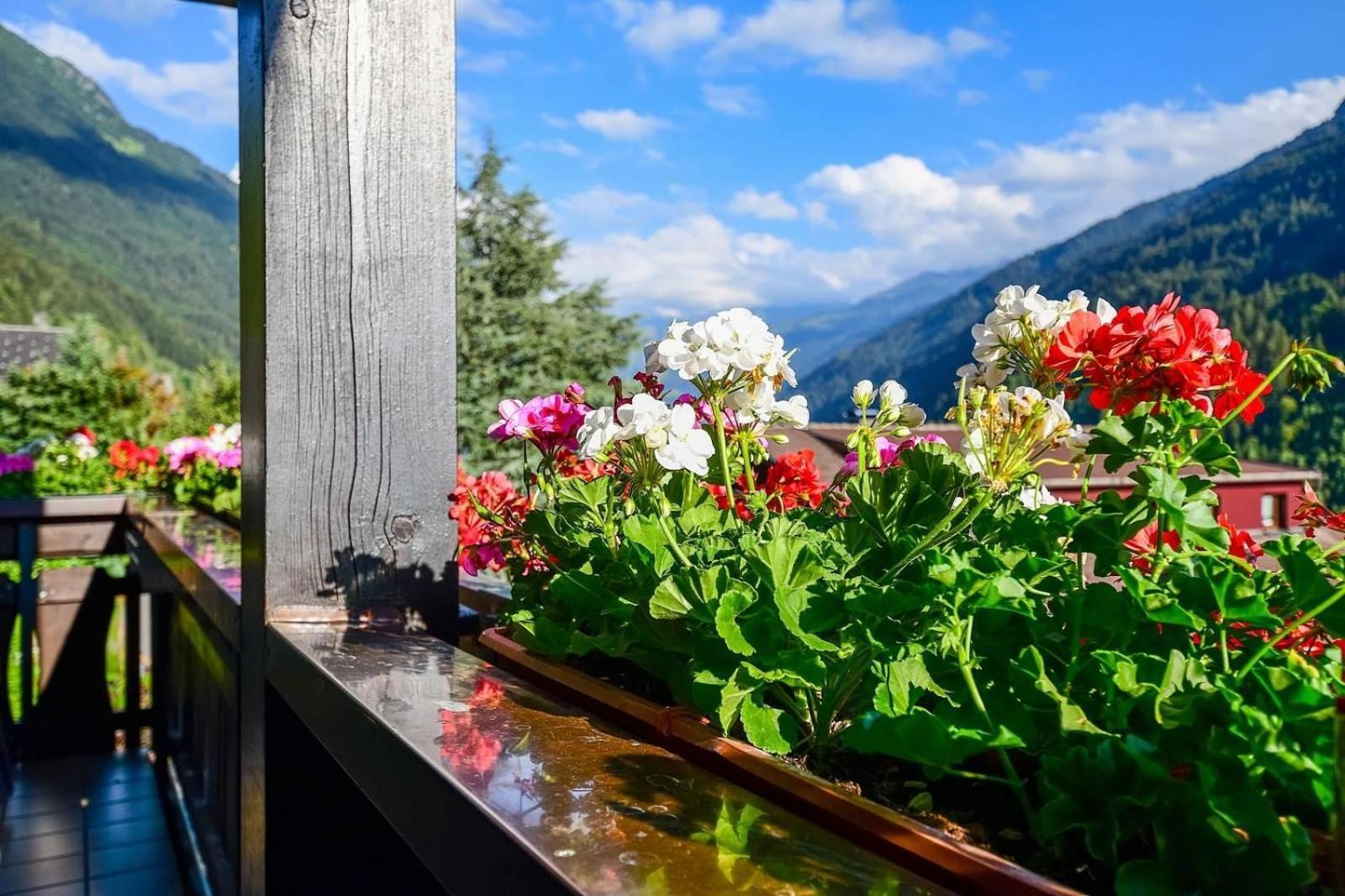 Apartment Rotbuehlspitze Sankt Gallenkirch Extérieur photo